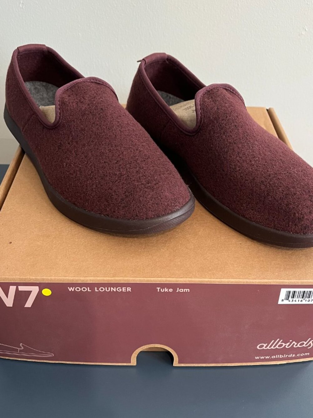 Allbirds Wool Lounger